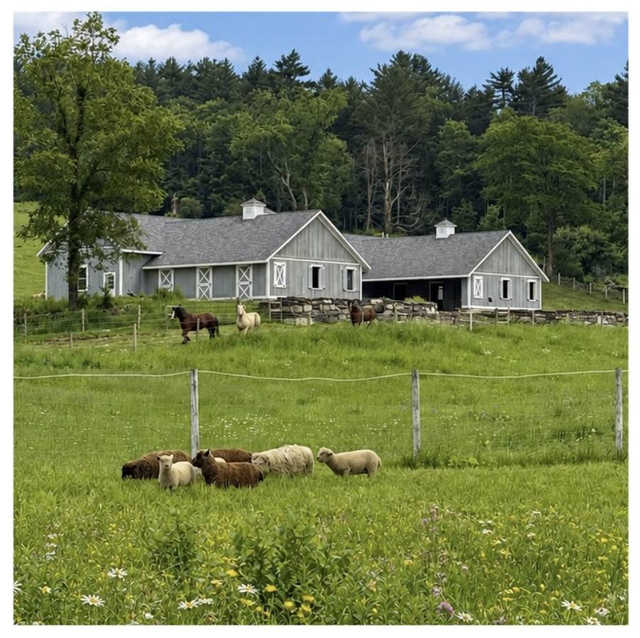 The farm across the pasture