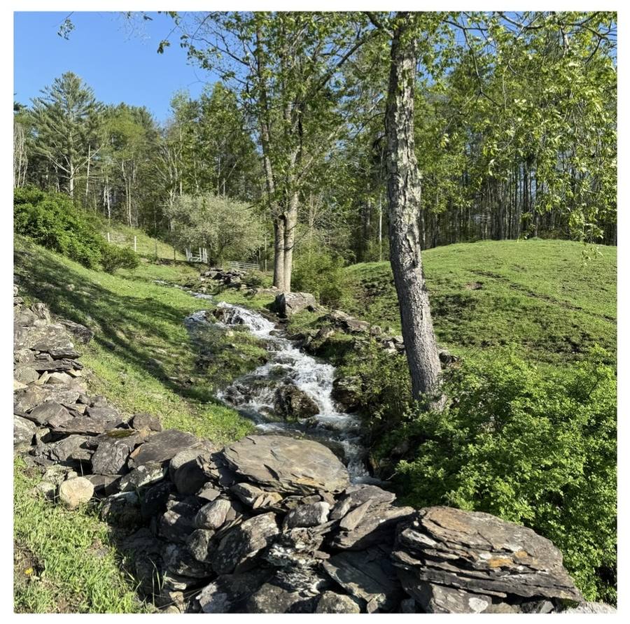 The brook running through the woods